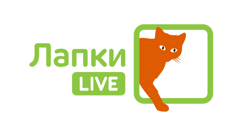 Лапки LIVE