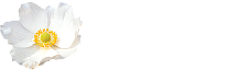 Fryazino.net | Интернет. Телефония. Телевидение