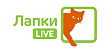 Лапки LIVE